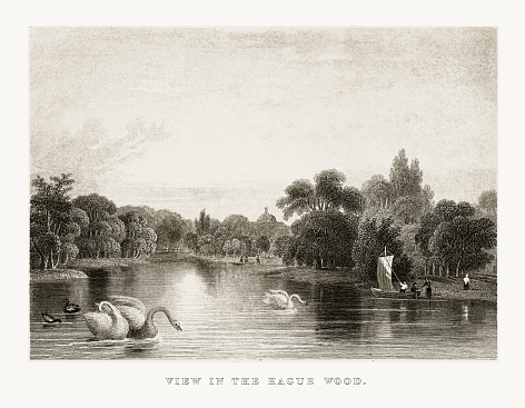 Beautifully Illustrated Antique Engraved Victorian Illustration of View in the Hague Wood Park in Rotterdam, Netherlands, Circa 1887. Source: Original edition from my own archives. Copyright has expired on this artwork. Digitally restored.