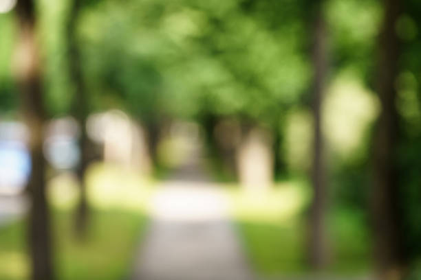 istock town alley with green trees background 914975052