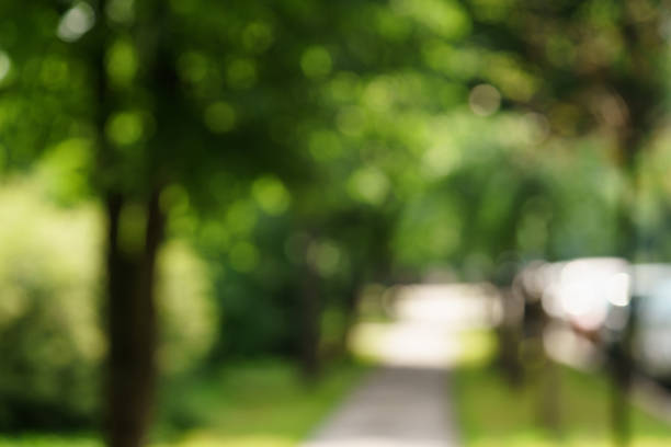 town alley with green trees background, high resolution