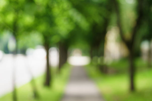 istock town alley with green trees background 914975206