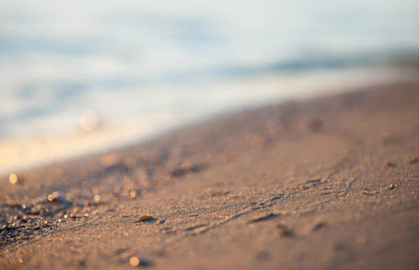 istock Seashore during sunset. Beautiful natural concept and idea 914978698