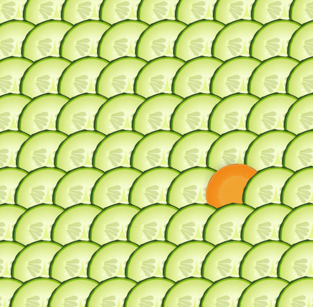 ilustrações de stock, clip art, desenhos animados e ícones de cucumber textured background with one slice of carrot, special vegetable, - orange portion vector textured