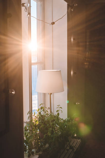 istock Window indoors at sunset beautiful rays of sunlight 914979456
