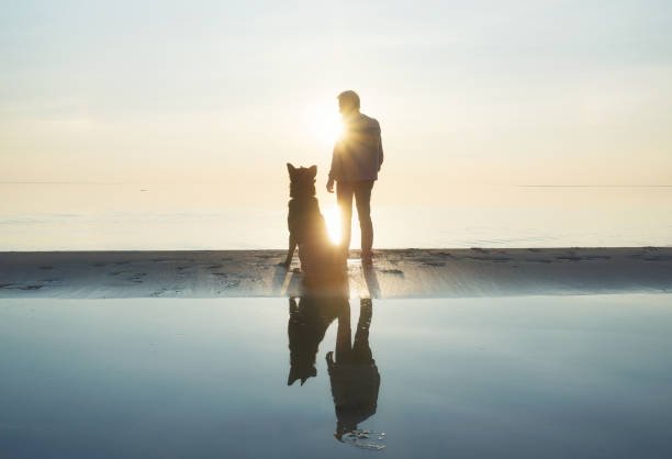 istock Men with dog friend on the beach. Concept and idea 914982936