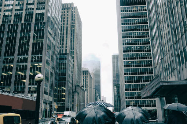 istock Rain in the new york city 914986924