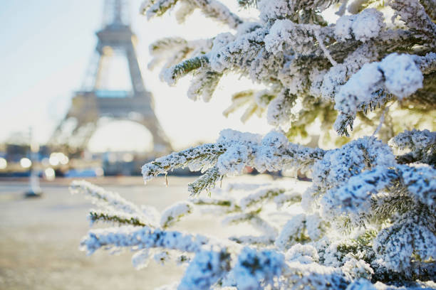 istock Christmas tree covered with snow near Eiffel tower 914993762