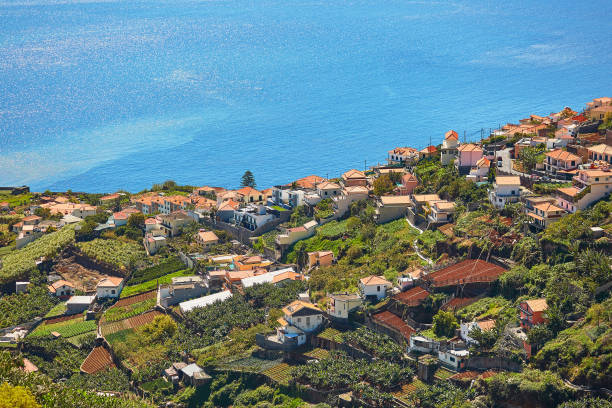 istock Aerial view of typical Madeira landscape 914994002