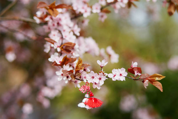 istock Branch of cherry tree with martisor 914994732