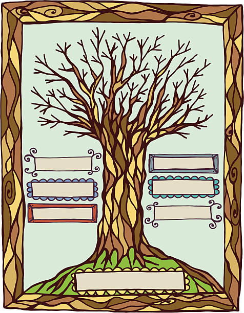 illustrazioni stock, clip art, cartoni animati e icone di tendenza di arte albero genealogico con etichette - origins oak tree growth plant