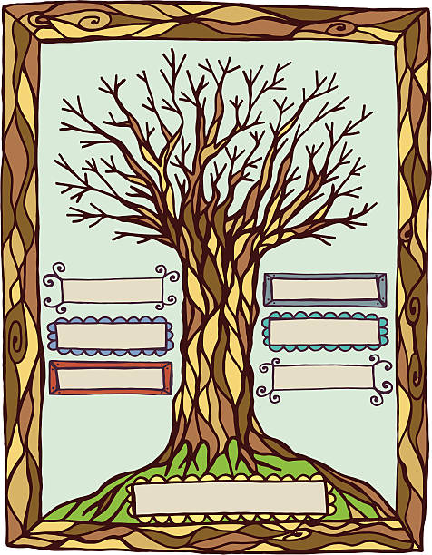 ilustrações de stock, clip art, desenhos animados e ícones de artsy árvore genealógica com etiquetas - origins oak tree growth plant