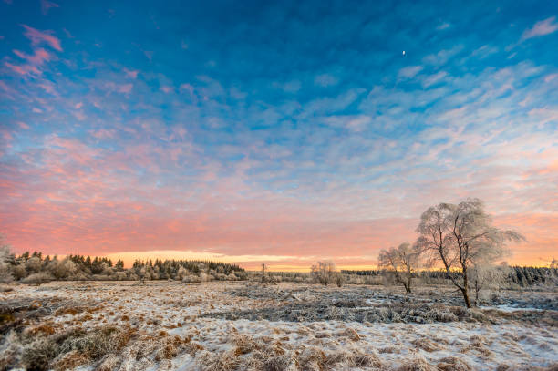 istock High Fens Winter Landscape 915005212