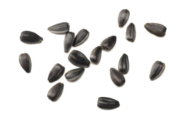 sunflower seeds isolated on white background. top view