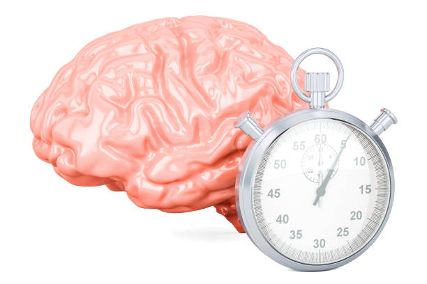 istock Human brain with stopwatch, 3D rendering isolated on white background 915016270