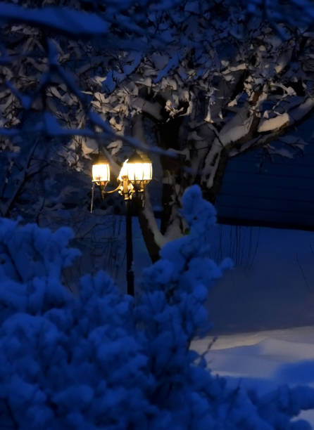 istock Lamp Post in the Evening During Winter 915018972
