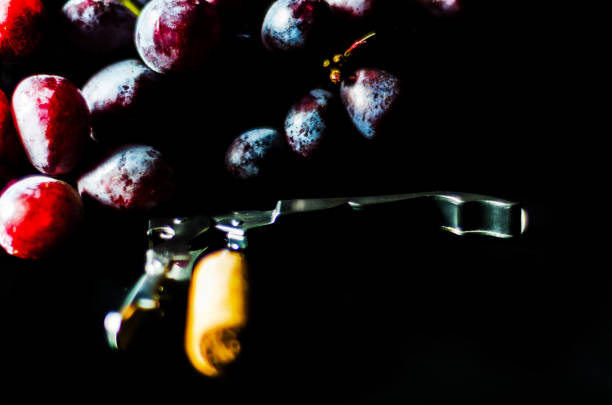 istock corkscrew with cork on snail beside large red grape fruit on black background, 915029194