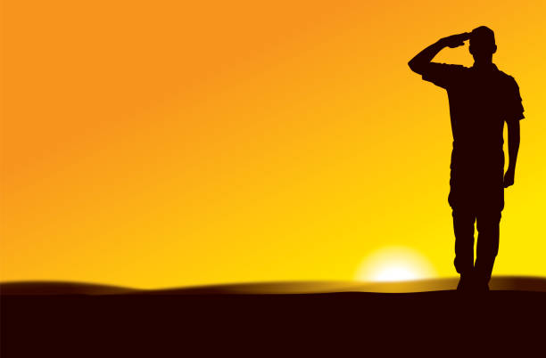 us army soldier saluting w: sun rise or sun set - saluting armed forces military us veterans day stock illustrations