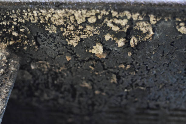 istock Man cleaning wood burning stove 915044642