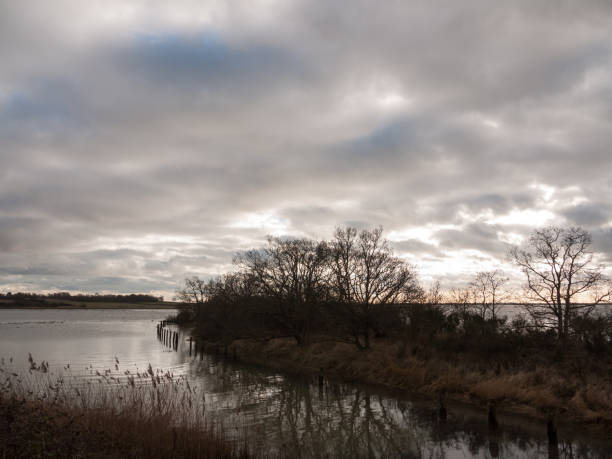 istock uk autumn winter grey cloudy bay scene outside river branches 915046244