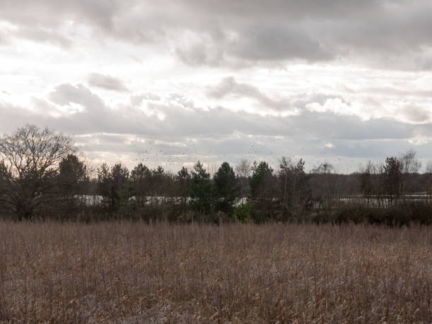 istock moody skyline clouds over autumn farm field 915046286
