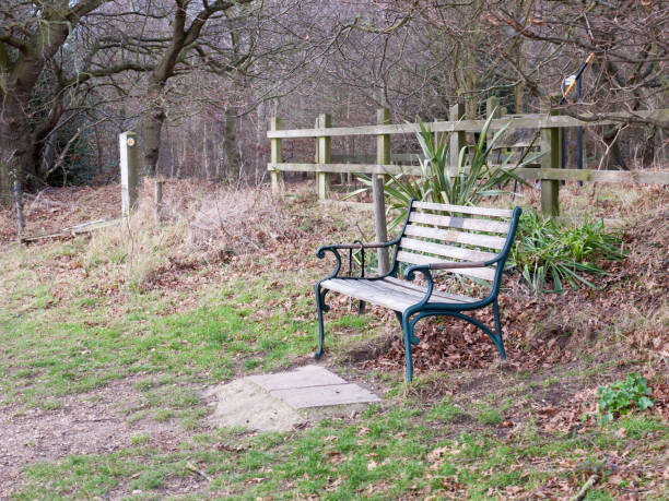 istock outside empty park bench autumn countryside lonely 915046388