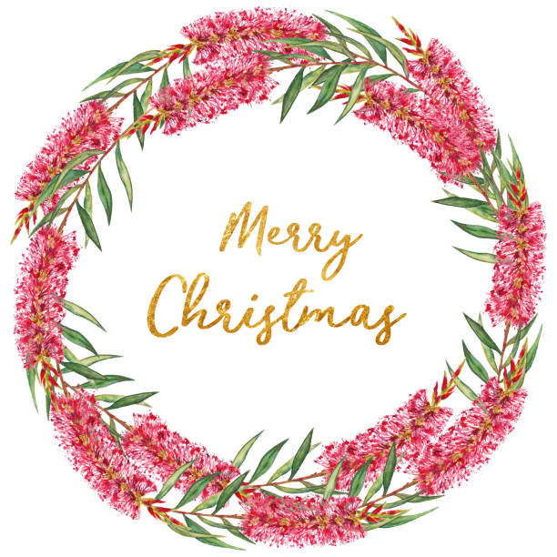 ilustrações de stock, clip art, desenhos animados e ícones de bottlebrush flower wreath with merry christmas text - christmas christmas tree flower frame