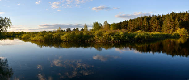 istock Panorama of the spring river. 915052118