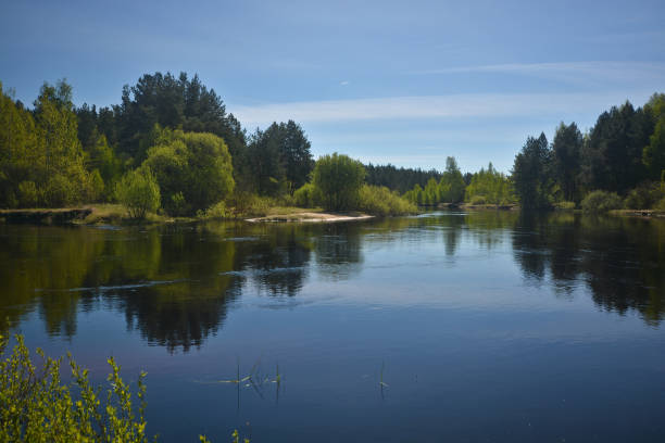 istock The river flows in the spring among the woods. 915052450