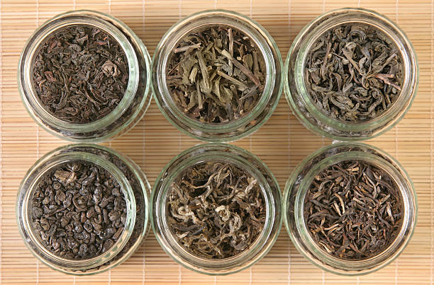 Green tea collection stock photo