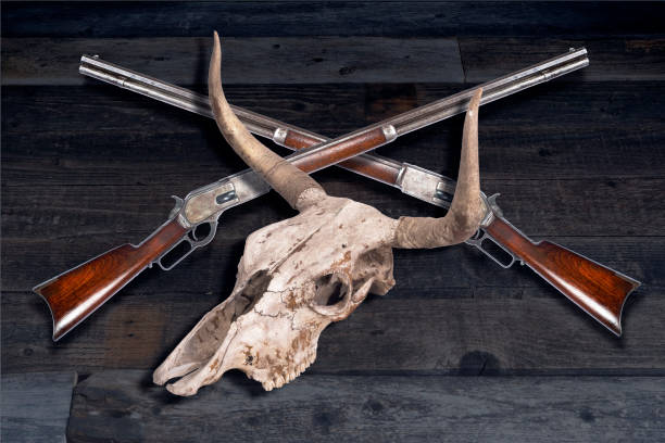istock Cowboy rifles and cow skul. 915055810