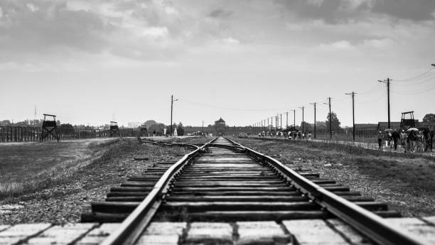 entrada de tren al campo de concentración auschwitz birkenau - adolf hitler fotografías e imágenes de stock