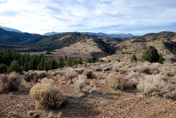 istock Late Afternoon Nevada Landscape 91506057