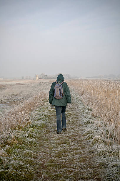 Lone Inverno walker de norfolk natureza - fotografia de stock