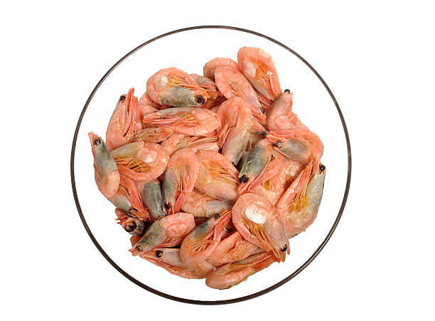 Shrimps in bowl stock photo