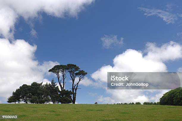 Photo libre de droit de Arbres banque d'images et plus d'images libres de droit de Angleterre - Angleterre, Arbre, Bleu