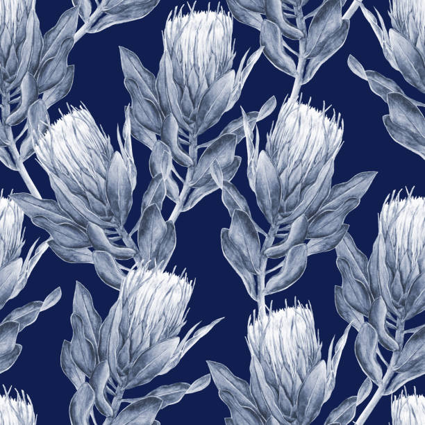 ilustrações de stock, clip art, desenhos animados e ícones de protea flower pattern - navy blue - sugarbush