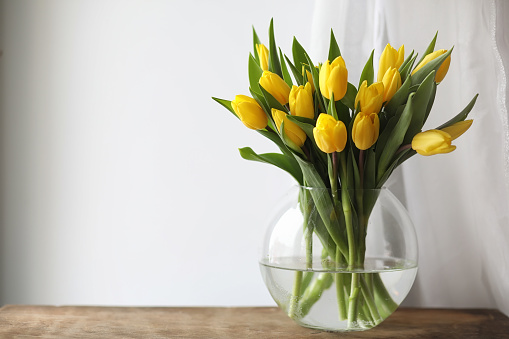 A bouquet of yellow tulips in a vase on the windowsill. A gift to a woman's day from yellow tulip flowers. Beautiful yellow flowers in a vase by the window.
