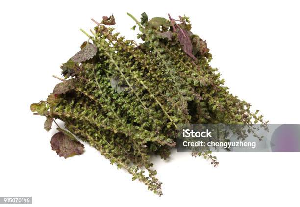Perilla Herb Seed Used In Traditionalchinese Herbal Medicine Isolated Over White Background Su Zi Fructus Perillae Frutescentis Stock Photo - Download Image Now