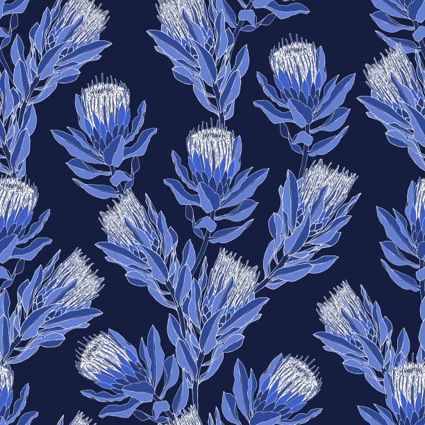 ilustrações de stock, clip art, desenhos animados e ícones de protea floral pattern vector - blue and white - sugarbush