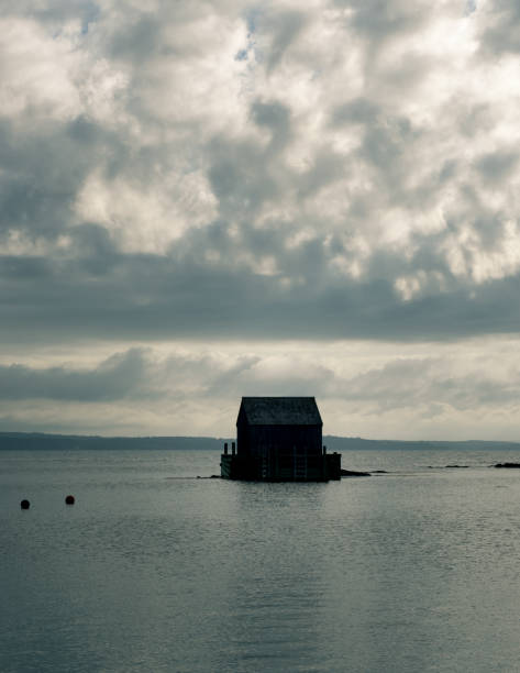 istock Lonely shack on the ocean 915071952