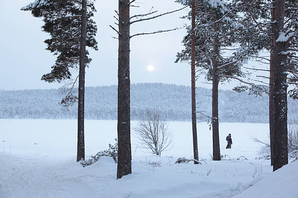 istock View through snowy woods in Lappland, Sweden 91507349