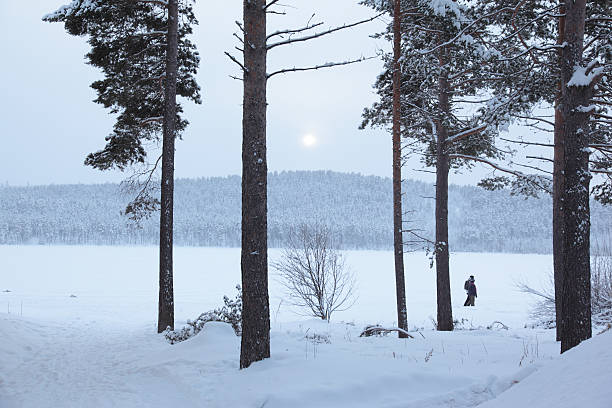 View through snowy woods in Lappland, Sweden stock photo