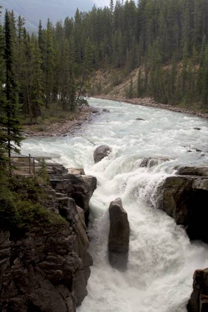 istock Sunwapta Falls In Jasper National Park 915074322