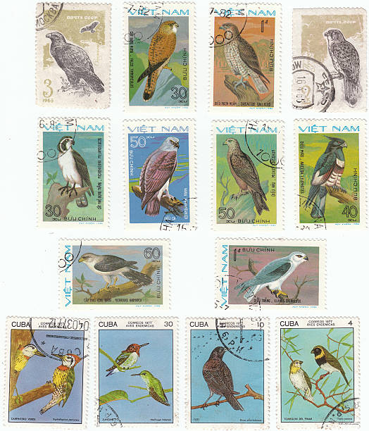istock Obsolete postage stamps from Russia and Cuba showing birds 91507433