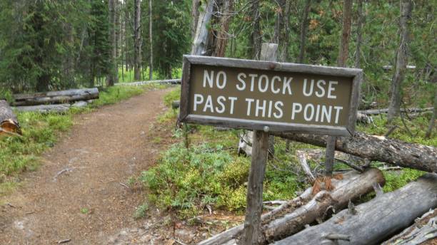 istock No Stock Use Past This Point Sign on Wooded Trail 915075262