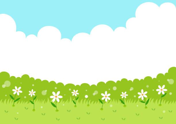 Spring grass with sky background Spring,landscape,flower,grass,sky,cloud,scene,meadow,background tussock stock illustrations