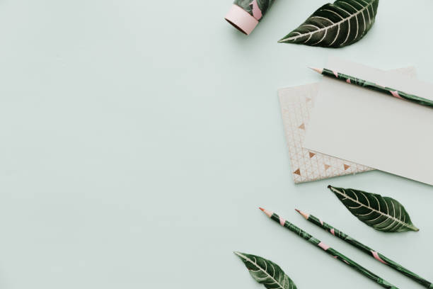 istock Blogger Pastel Background With green leaves and empty blank. Mockup for your work 915079266