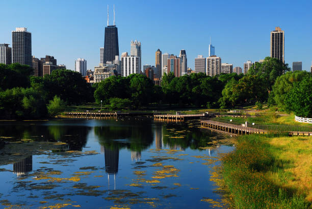istock Chicago from Lincoln Park 915081946