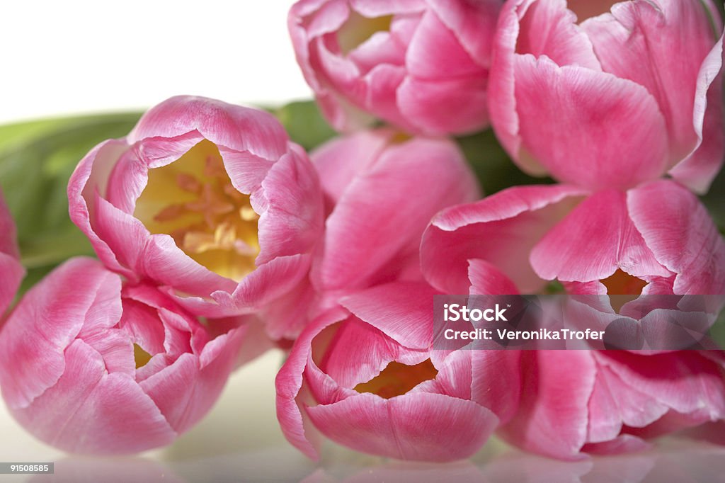 Tulipanes de primavera rosa bouquet - Foto de stock de Amarillo - Color libre de derechos