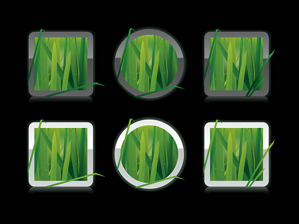 Grass buttons  |  Dark vector art illustration