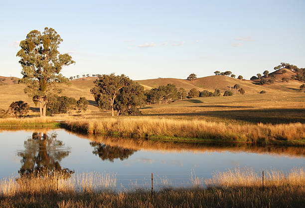 Yarra Valley, Melbourne, Australia Beautiful countryside in the Yarra Valley near Melbourne, Australia. hydroelectric power photos stock pictures, royalty-free photos & images